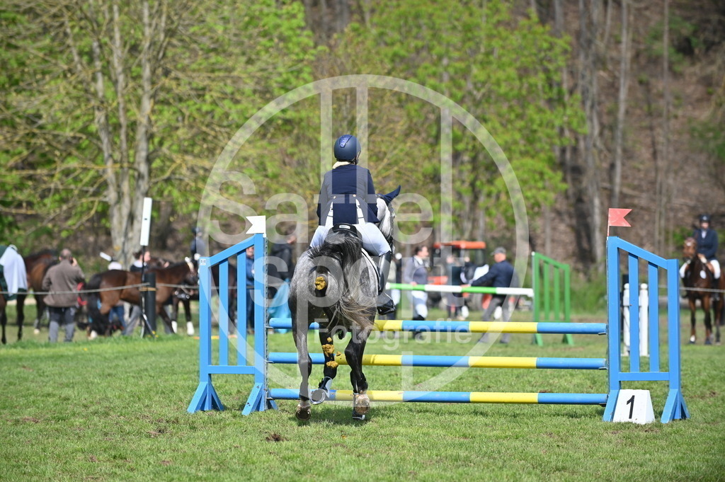 DSC_1337 | sattelsport - Realisiert mit Pictrs.com