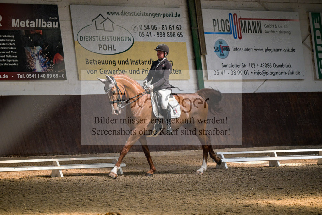 Reitturnier Voxtrup | Entdecke hochwertige Reitturnierfotos von Foto Oger. Professionell, emotional und authentisch – jetzt Lieblingsmomente im Shop bestellen.Deutschlandweite Turnierfotografie. - Realisiert mit Pictrs.com