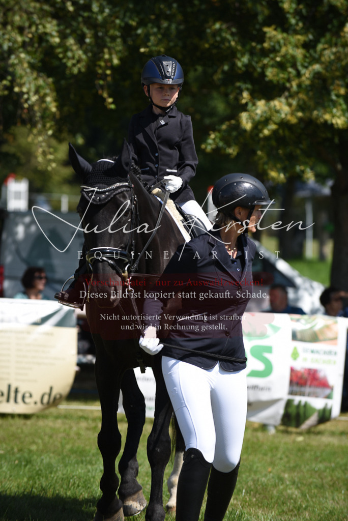 DSC_9744 | Pferde- und Turnierfotografie in Westsachsen. Pferdeportraits, Auftragszeichnungen und intuitive Kunst.