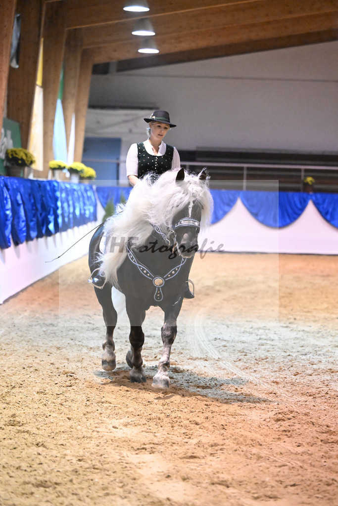 Schauprogramm_54222587 | hf-fotografie - Realisiert mit Pictrs.com