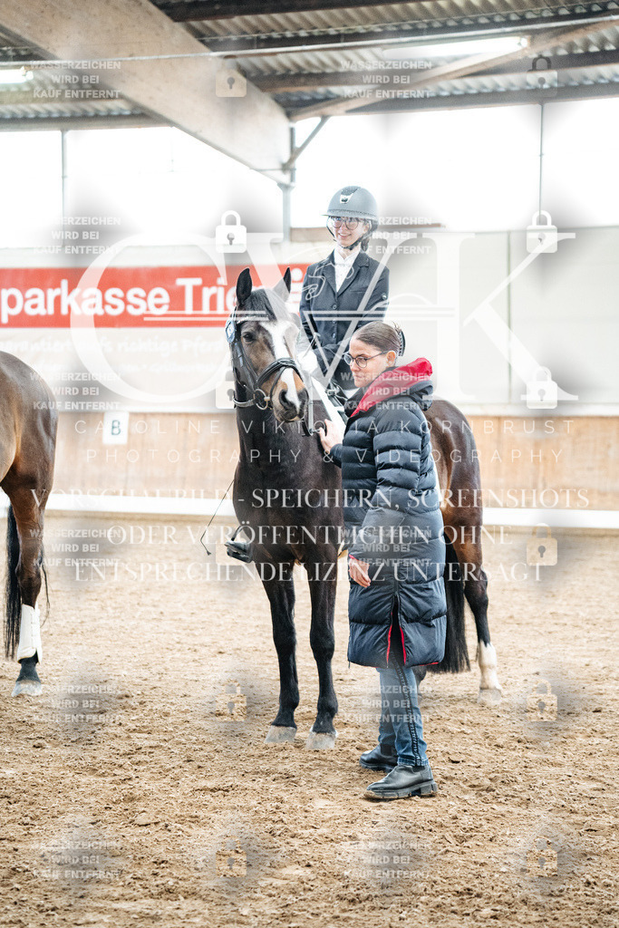 CK703036 | Turnierfotografie Pferdefotografie Trier Rheinland-Pfalz Pferdesport Reitsport Tierfotografie Sportfotografie Pferdevideo Pferdevideografie Equestrianvideography equestrianphotography  - Realisiert mit Pictrs.com