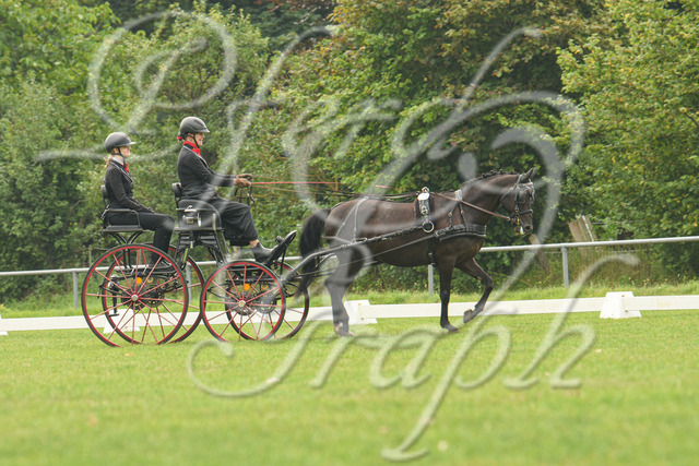 DSC_2881 | Studio i24 - Professionelle Fotografie