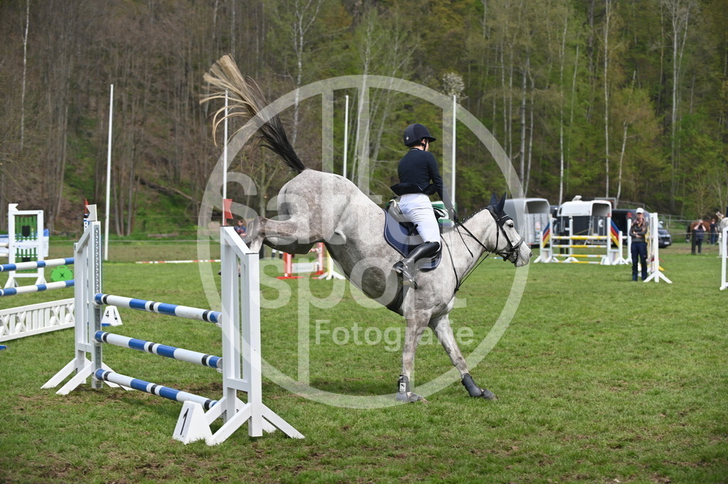 DSC_1580 | sattelsport - Realisiert mit Pictrs.com