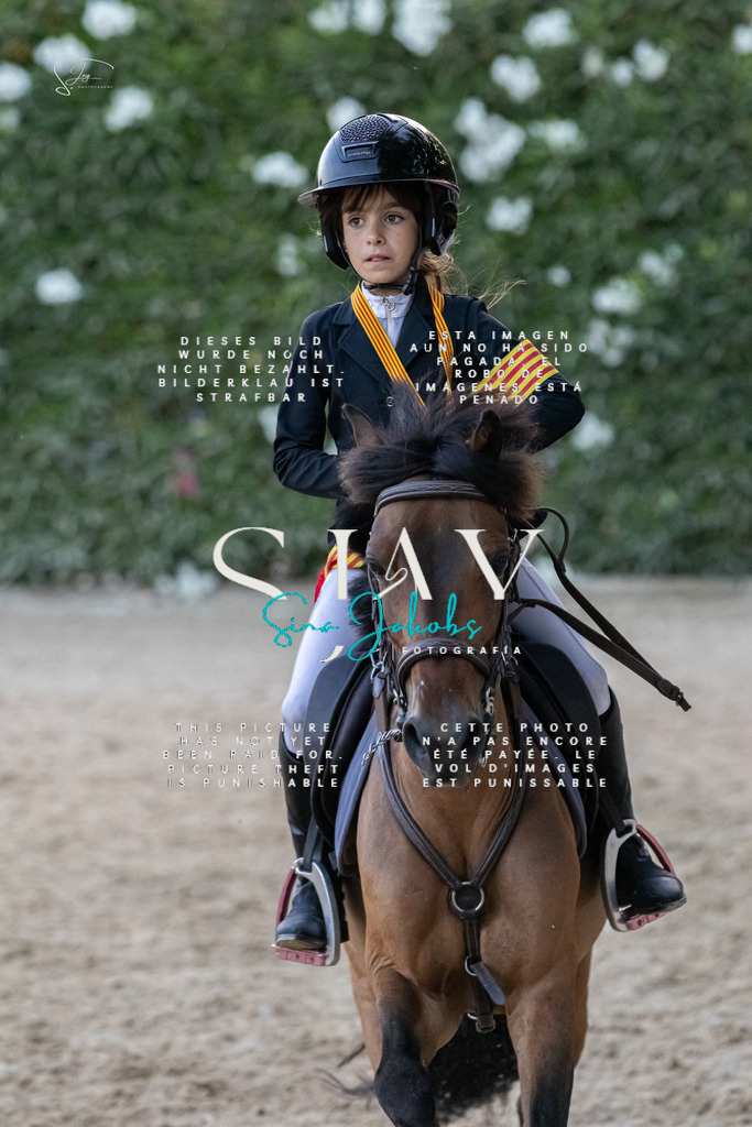 IMG_0236 | s-jay-photography - Realisiert mit Pictrs.com