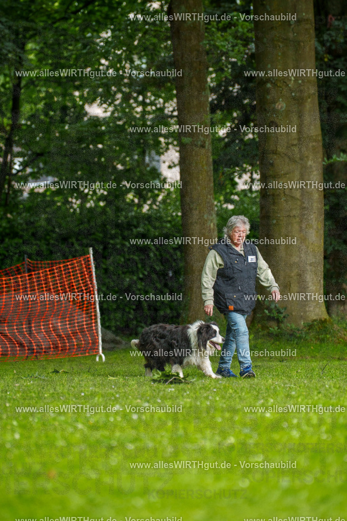 @allesWIRTHgut_Tierfotografie - www.allesWIRTHgut.de - 093616-7R507362 | Professionelle Tierfotografie in Mönchengladbach von Daniel Wirth (allesWIRTHgut). Liebevolle & natürliche Bilder von Hunden & Katzen für unvergessliche Erinnerungen.
