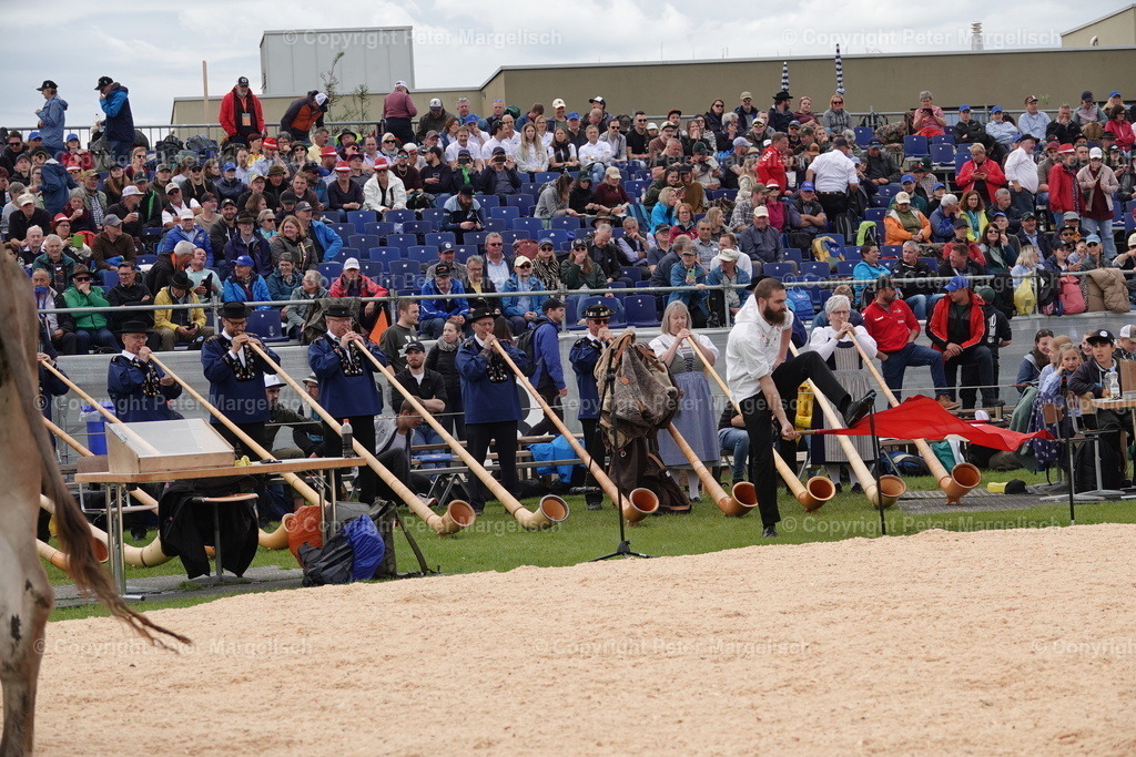 DSC00683 | Schwingen - Realisiert mit Pictrs.com