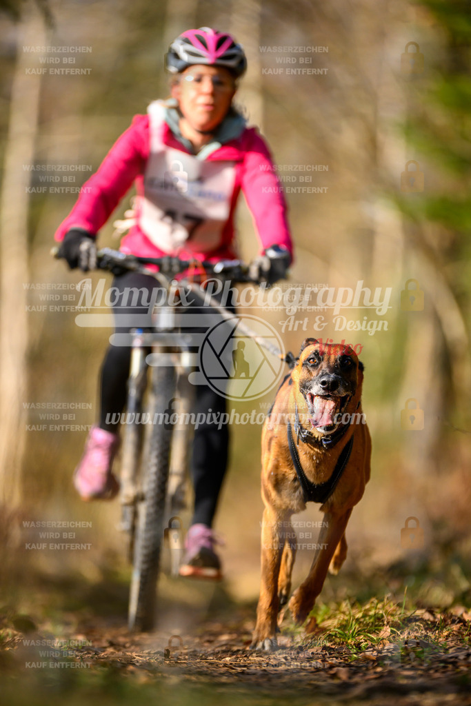 MompixPhotography_6ReiatRennen2026_SO_Bike-64 | PayLife