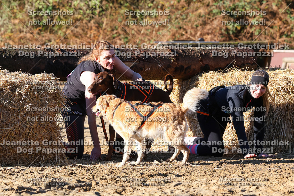 Dog Paparazzi - Strongdog 10-25-1562 | Dog Paparazzi Jeanette Grottendiek Fotografie & Videografie - Realisiert mit Pictrs.com