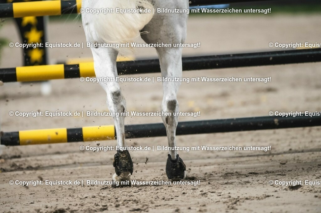 20231116_BW-Bank-Hallenchampionat_0067_TOMsPiC-2 | Foto: Thomas Hartig