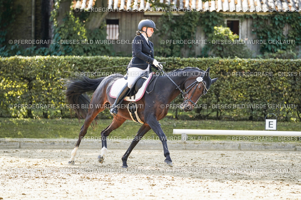 DSC07048 | Pferdegrafie