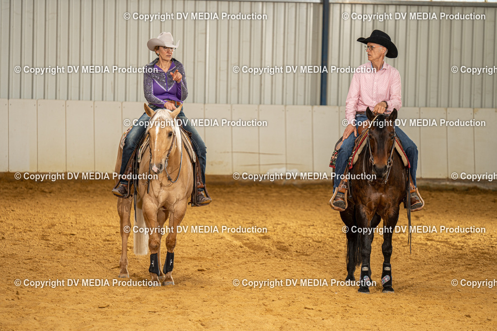 MIT01370 | dv-media-shop - Realisiert mit Pictrs.com