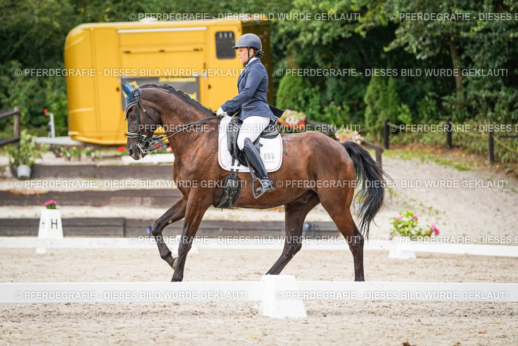 DSC09555 | Pferdegrafie