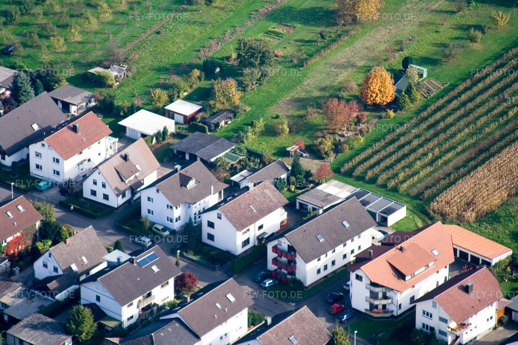 Luftbild: Runzweg im Ortsteil Urloffen in Appenweier im Bundesland Baden-Württemberg in Deutschland. Foto: IMG_13882.jpg vom 11.10.2008 durch Werner Riehm/FLY-FOTO.de