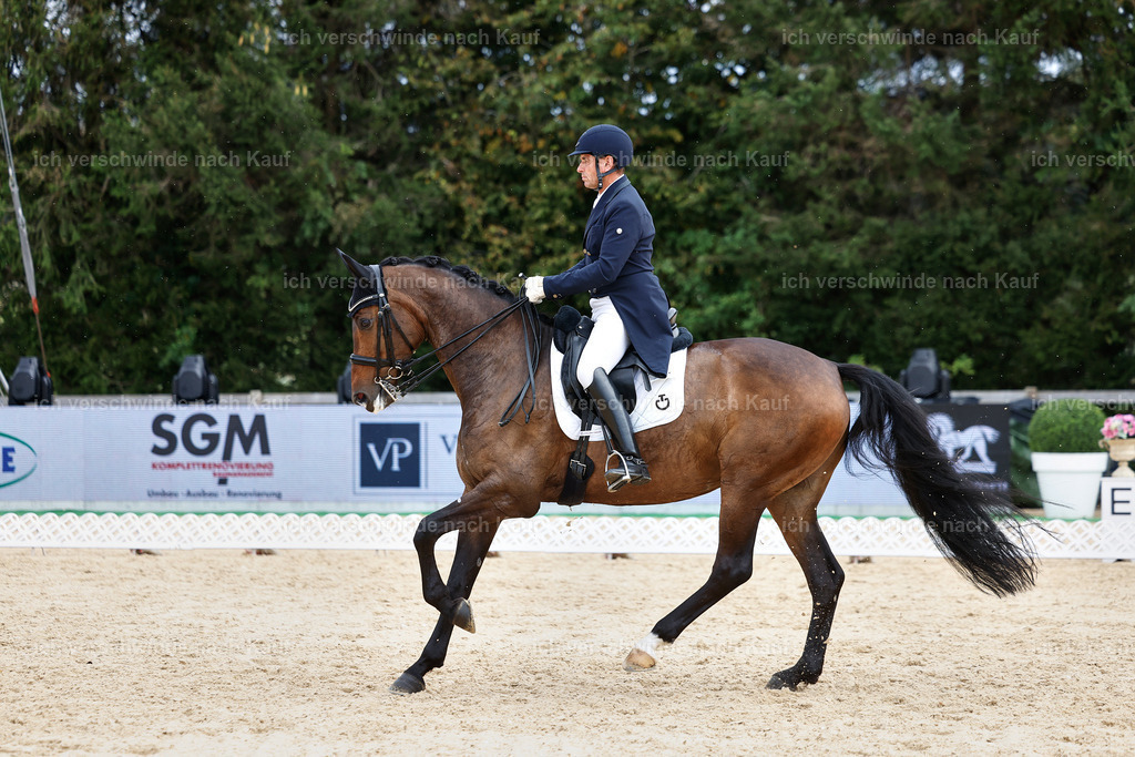 11-226-Dressur S___-StoibPH-1021 | working equitationturnier fotograf videograf stoibphotography marixx film working equitation deutschland reitsport turnierfotografie eventfotografie equestrian events