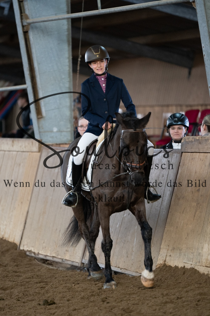 A7V04854 | Pferdefotograf