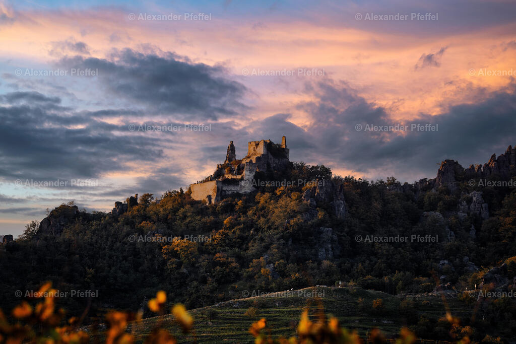 foto_c_pfeffel-partner-0206-R51_9354-HDR-Bearbeitet | alexander-pfeffel - Realisiert mit Pictrs.com