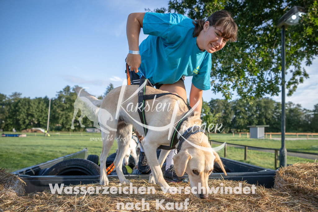 0821_ZZ91082 | kk-dogfotos
