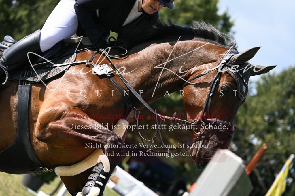 DSC_1191 | Pferde- und Turnierfotografie in Westsachsen. Pferdeportraits, Auftragszeichnungen und intuitive Kunst.