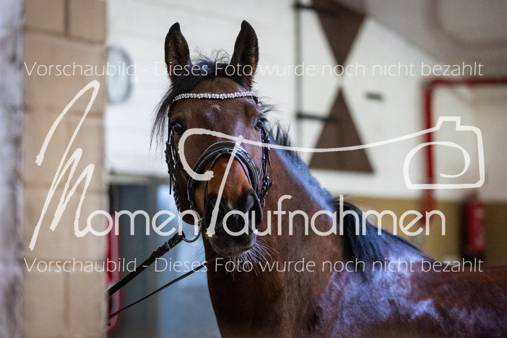 LehrgSth24-113 | MomenTaufnahmen Pferdesportfotos