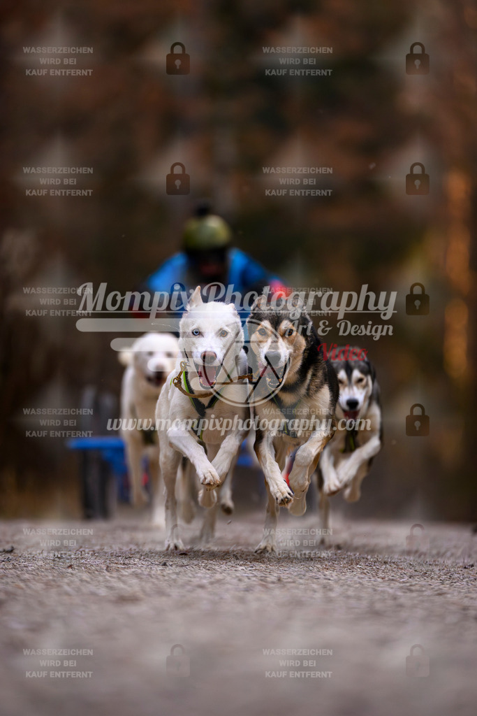 MompixPhotography_DM_AKDM_SO_2025_Wagen-5 | PayLife