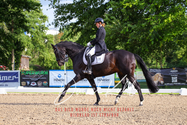 DKP41732 | Turnierfotos kaufen im Webshop von Daniel Kuhl Photography – entdecke professionelle Reitsportfotos aus Turnieren & Events. Hochwertige Turnierbilder online bestellen & sichern. Jetzt Fotos von Reitsportturnieren kaufen!