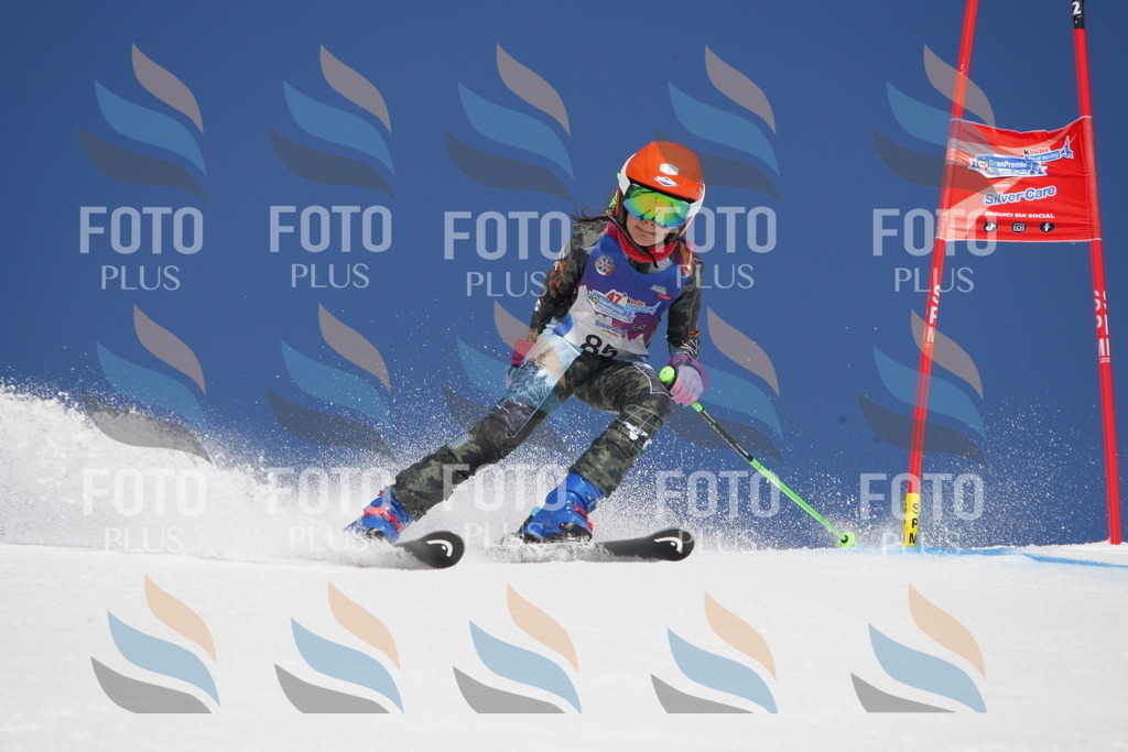 _W1G1240 | holidayphoto