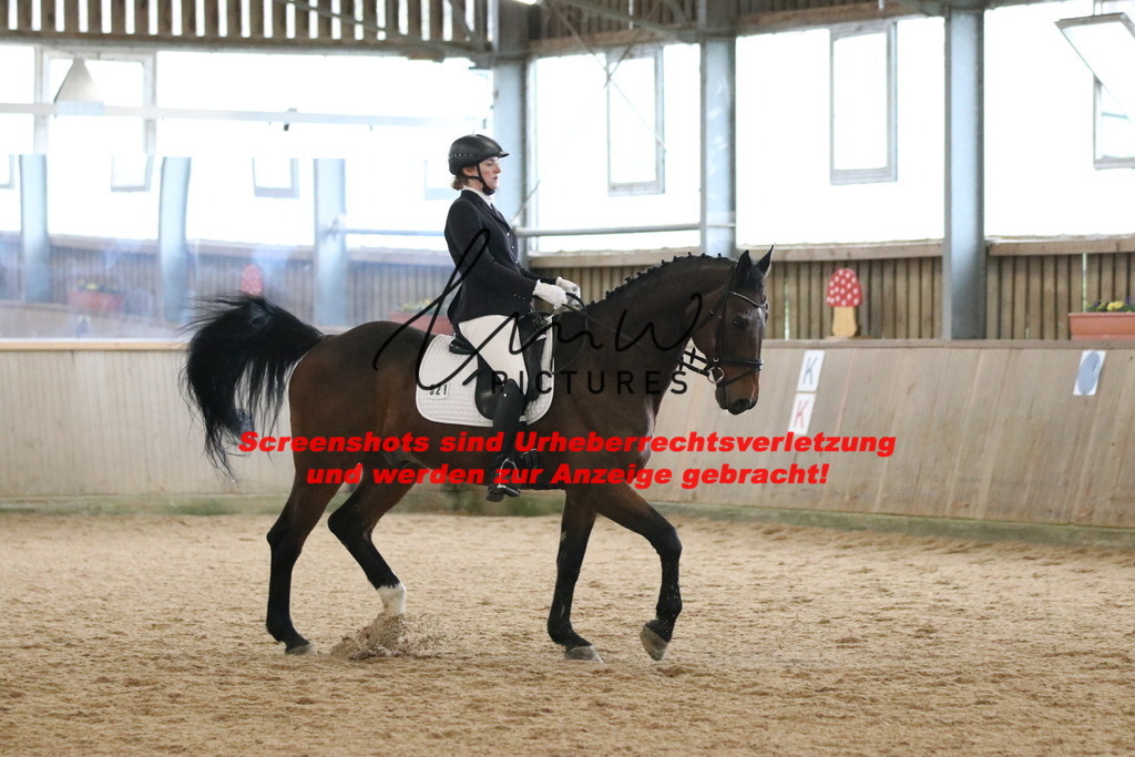 IMG_6523 | lmwpictures - Realisiert mit Pictrs.com