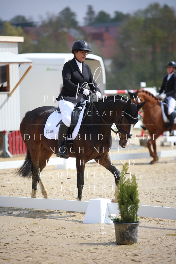 IMGT2514 | pl-fotografie