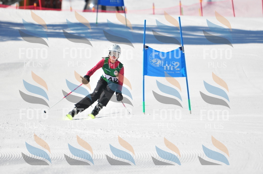 C4011 | holidayphoto