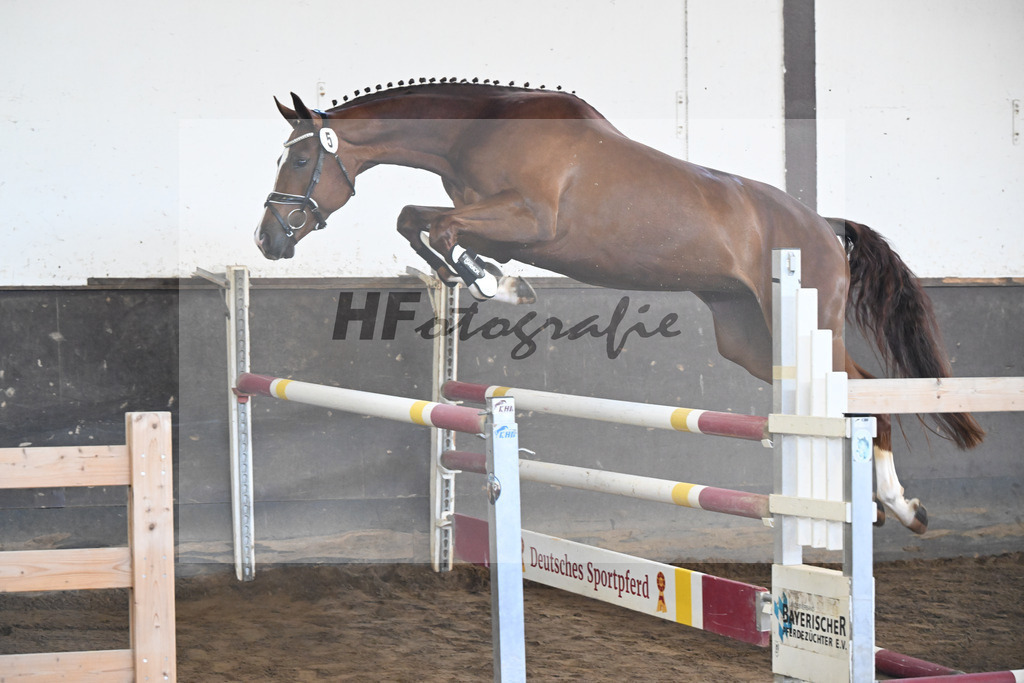 Kat-Nr. 5 Lucille H v. Diro_Haarmann_19250039 | hf-fotografie - Realizzato con Pictrs.com