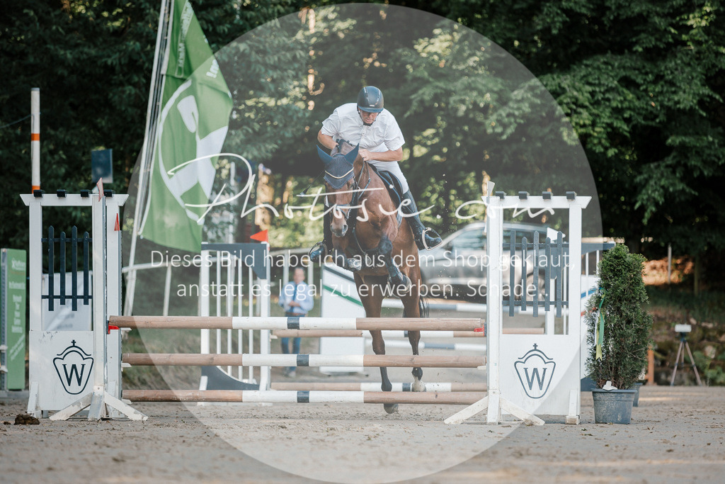 3I6A6342 | Stimmungsvolle Portraits und Reitsportfotografie im Ruhrgebiet und im Münsterland.

Pferdefotografie, Hundefotografie, Tierfotografie, Reportagen, Portraits von Tier und Mensch, Turnierfotografie in Bochum, Recklinghausen, Marl, Haltern am See, Dülmen.. - Realisiert mit Pictrs.com