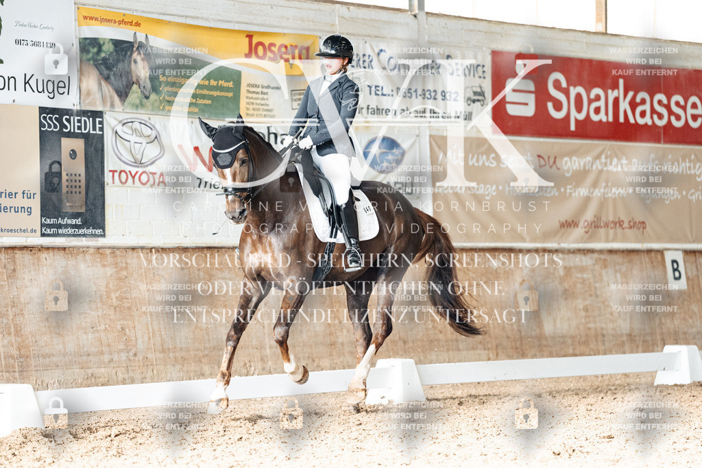 CK902756 | Turnierfotografie Pferdefotografie Trier Rheinland-Pfalz Pferdesport Reitsport Tierfotografie Sportfotografie Pferdevideo Pferdevideografie Equestrianvideography equestrianphotography  - Realisiert mit Pictrs.com