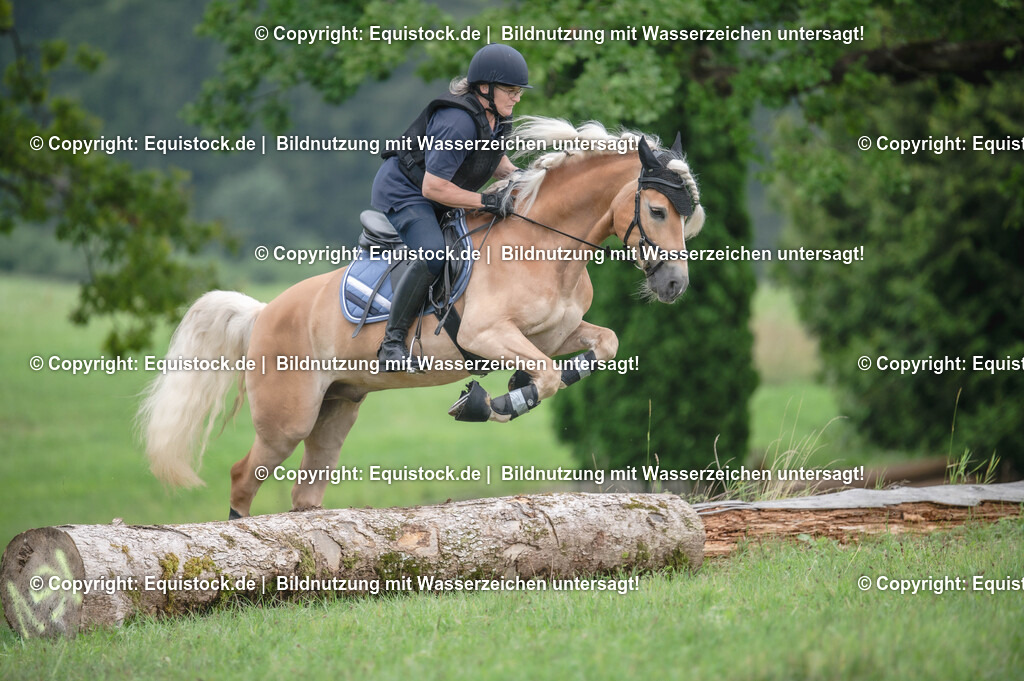 20250726_Vielseitigkeitslehrgang-Marbach_0493 | Foto: Thomas Hartig