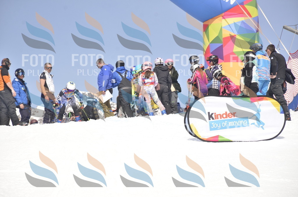 _ELE9009 | holidayphoto