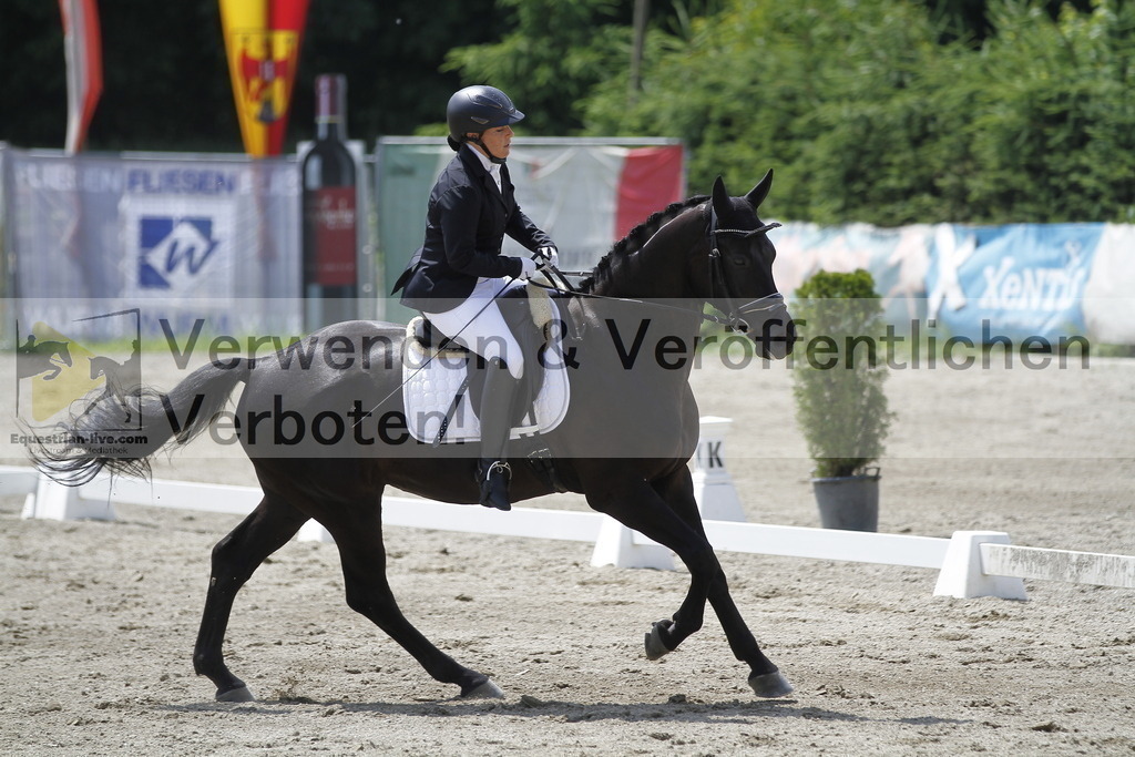 _MG_1603 | equestrian-live-com