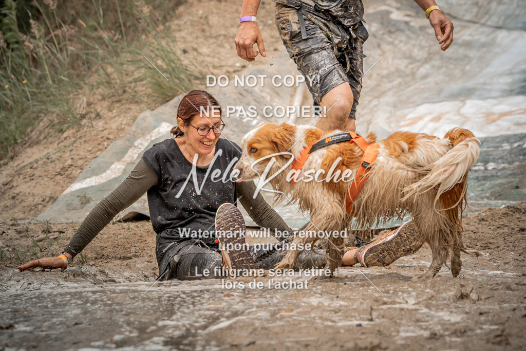 nelerasche_sa1230-1300_284 | nelerasche