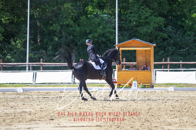 DKP42529 | Turniersportfotografie; Pferdefotografie; Dressurfotografie