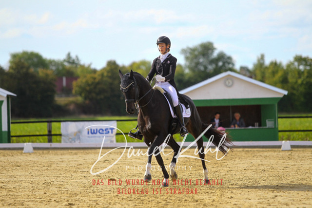 DKP45589 | Turniersportfotografie; Pferdefotografie; Dressurfotografie