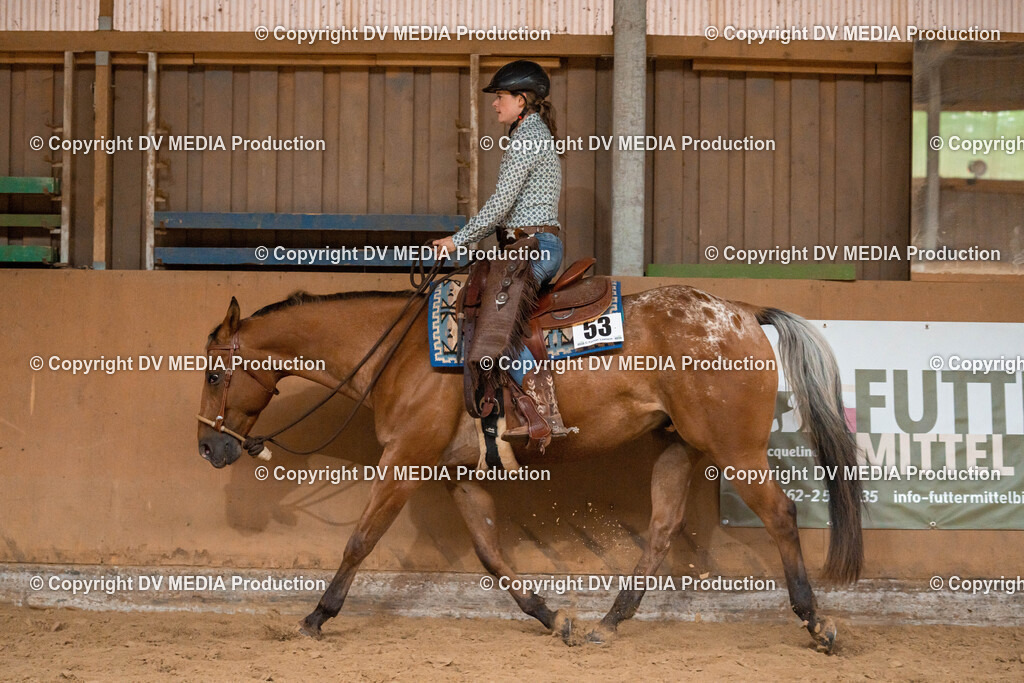 Losheim Tag 1-253 | dv-media-shop - Realisiert mit Pictrs.com