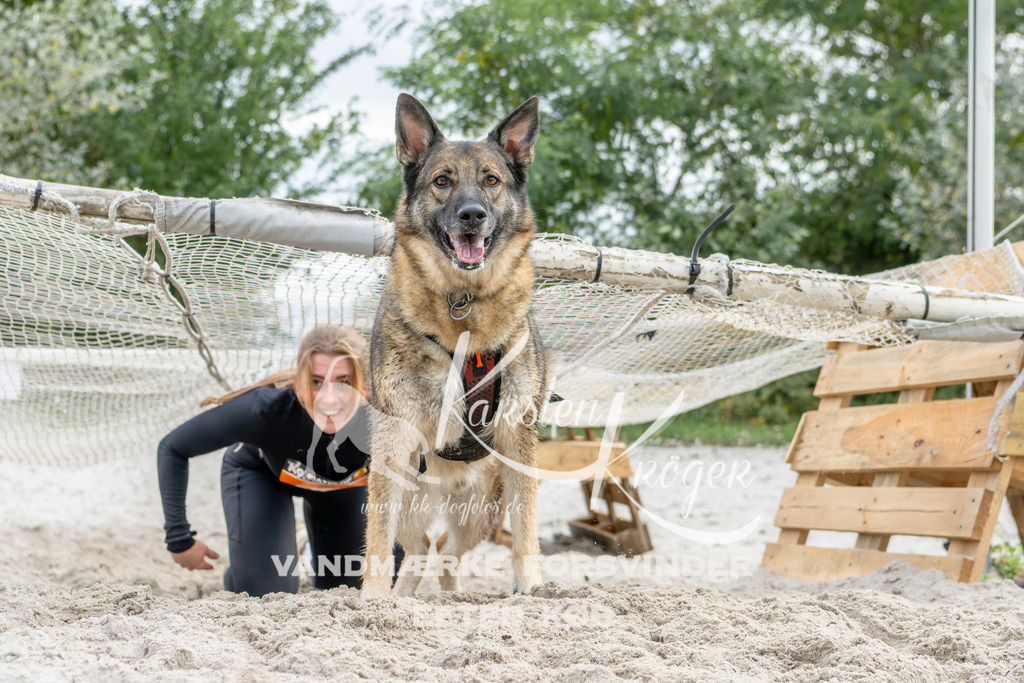 1520_ZZ94634 | kk-dogfotos