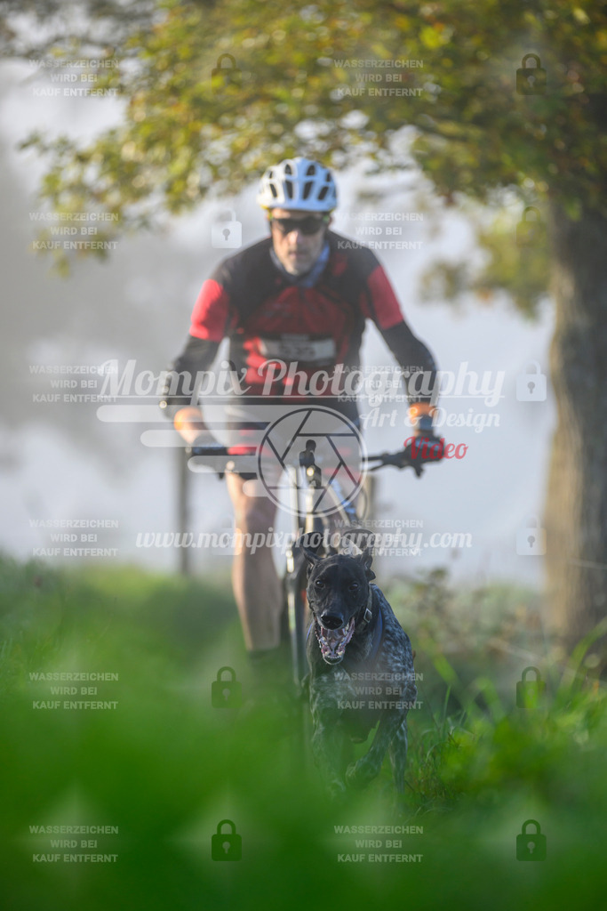 MompixPhotography_20TSB_E3_Bike-69 | PayLife
