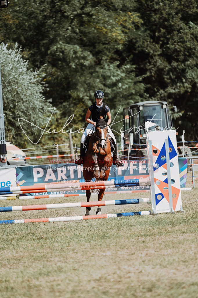 DSC_9692 | Pferde- und Turnierfotografie in Westsachsen. Pferdeportraits, Auftragszeichnungen und intuitive Kunst.