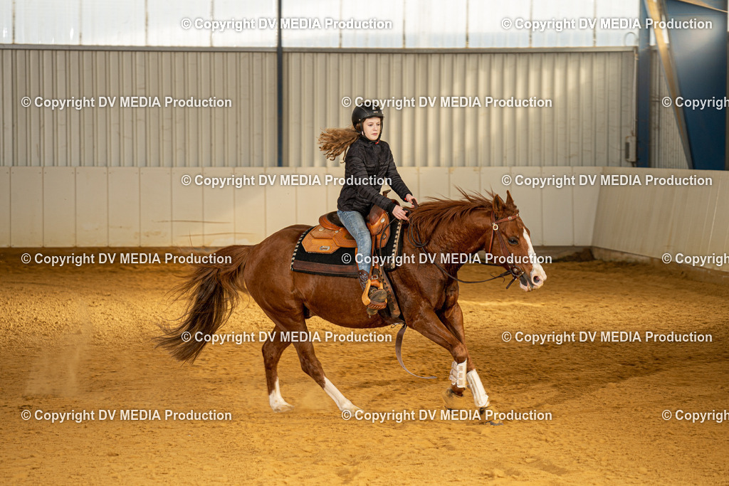 MIT00071 | dv-media-shop - Realisiert mit Pictrs.com