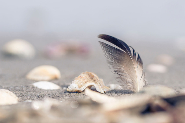 _DSC8778 | Outdoorpixl Teßen OHG - Realisiert mit Pictrs.com