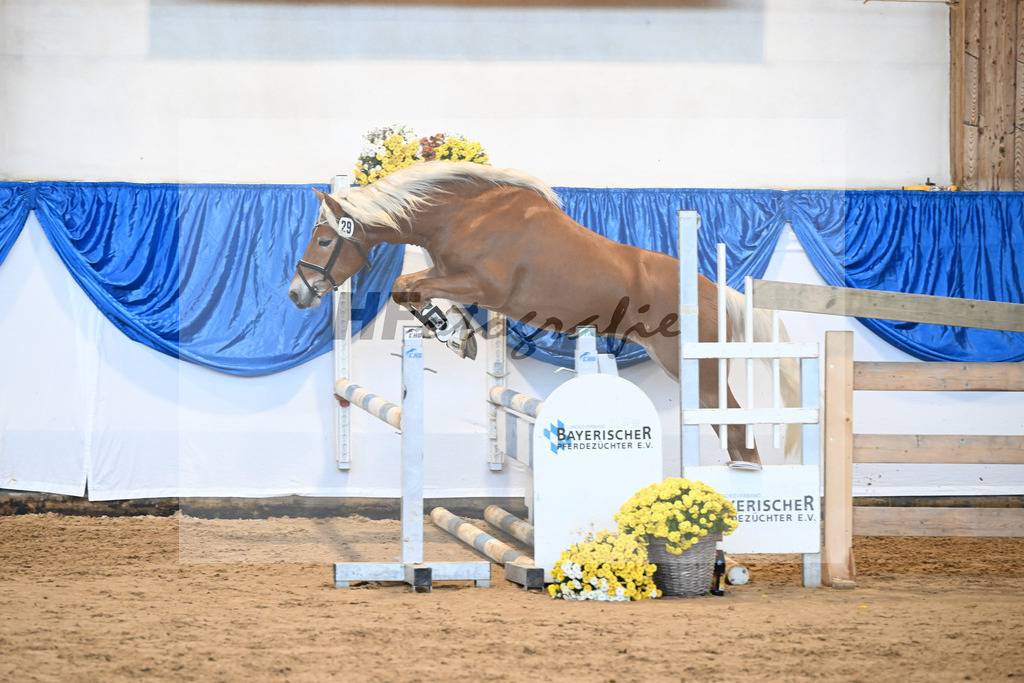 Kat-Nr. 29 nn v. Nio_Carreno-Erdmann_48250659 | hf-fotografie - Realisiert mit Pictrs.com