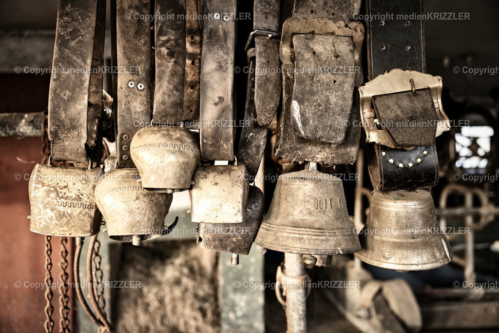 _J3A0240 | medienkrizzler - Realisiert mit Pictrs.com