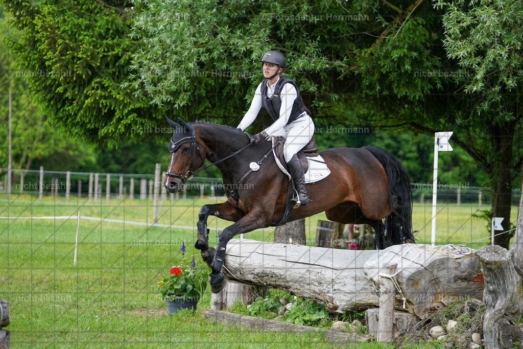 20240518-FAH04227 | Turnierbilder von Niederseon, Turnierfotografen Bayern, Fotoagentur Herrmann, Geländebilder, Reitsportfotografie