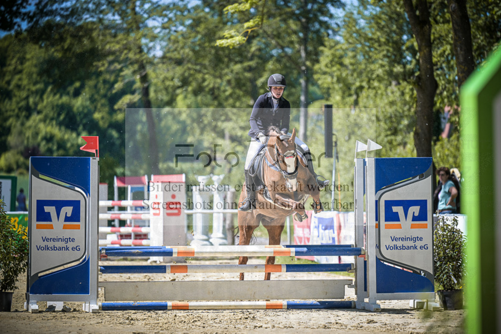 DOS_0013 | Entdecke hochwertige Reitturnierfotos von Foto Oger. Professionell, emotional und authentisch – jetzt Lieblingsmomente im Shop bestellen.Deutschlandweite Turnierfotografie. - Realisiert mit Pictrs.com