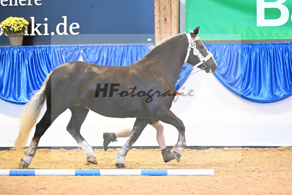 Kat-Nr. 43 Oxana_Steinle_53220005 | hf-fotografie - Realisiert mit Pictrs.com