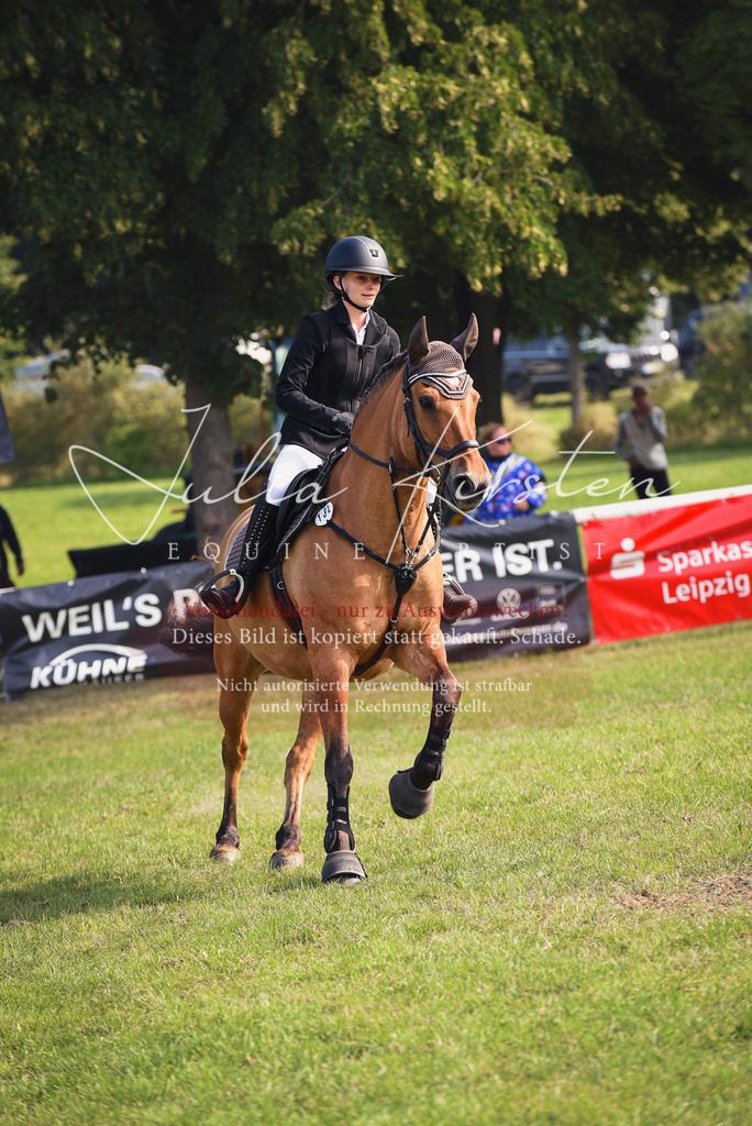 DSC_8857 | Pferde- und Turnierfotografie in Westsachsen. Pferdeportraits, Auftragszeichnungen und intuitive Kunst.